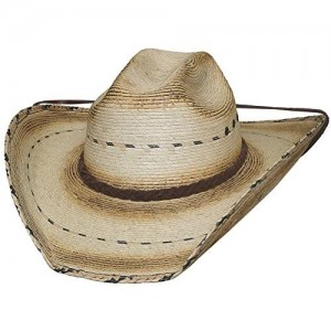 Bullhide Hats unisex-adult mens Cowboy