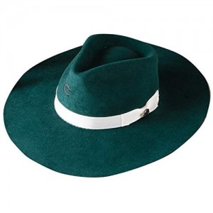 Charlie 1 Horse Green Highway Ladies Hat