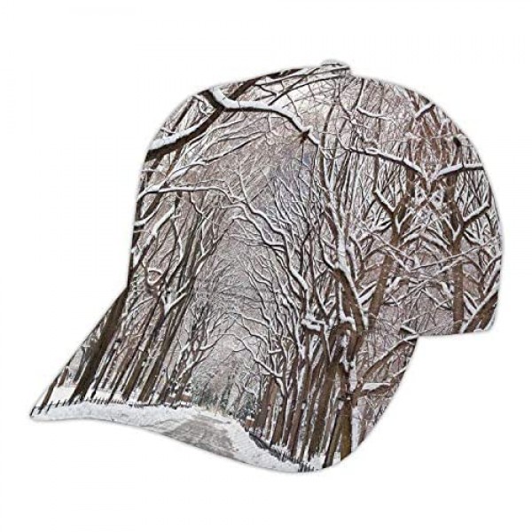 Winter in Central Park Poet;s Walk Winter Dad Hat Baseball Cap with Cool Funn Designs Snow